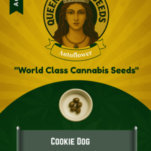 Cookie Dog Autoflowering Marijuana Seeds