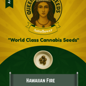 Hawaiian Fire Autoflower Marijuana Seeds
