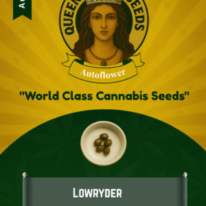 Lowryder Autoflower Marijuana Seeds