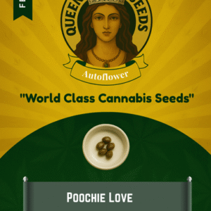 Poochie Love Feminized Seeds