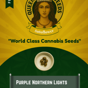 Purple Northern Lights Feminized Seeds