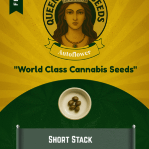 Short Stack Feminized Seeds