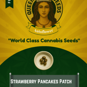 Strawberry Pancakes Feminized Seeds