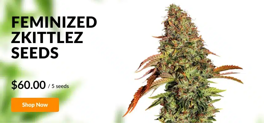zkittlez_xl.jpg